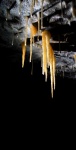 Stalactite group