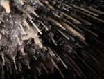 Helictites on a stalactite