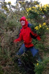 Pierrick struggles through gorse bushes