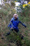 Lottie in the gorse