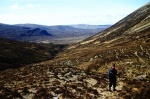 On the way down