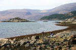 Lee and Roxy exploring the foreshore at Ardaneaskan