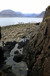 Roxy and rock-pool