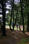 Woodland path