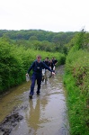 The easy path back