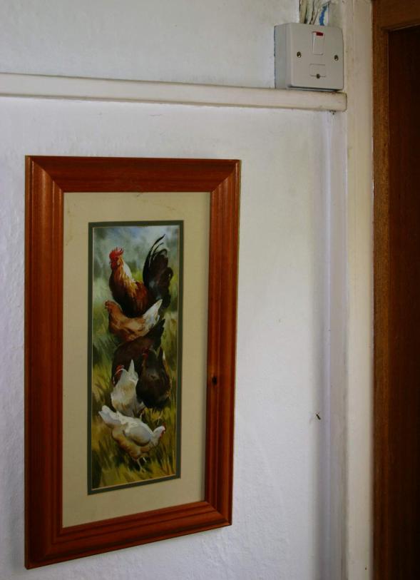 20060529-122512.jpg - New painting and coalshed light switch