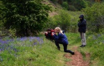 Bluebell photographers
