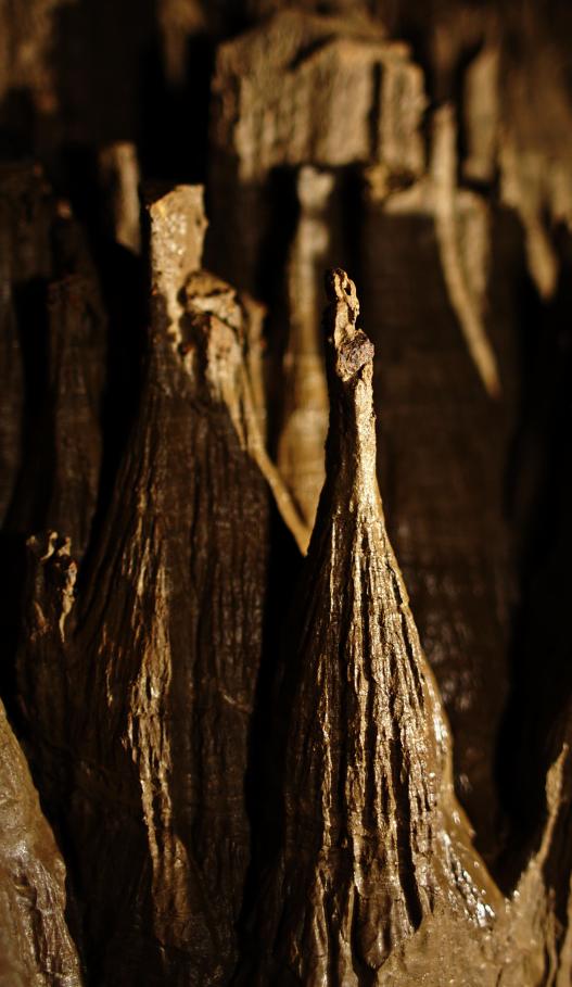 20060618-123626.jpg - A tall, thin one