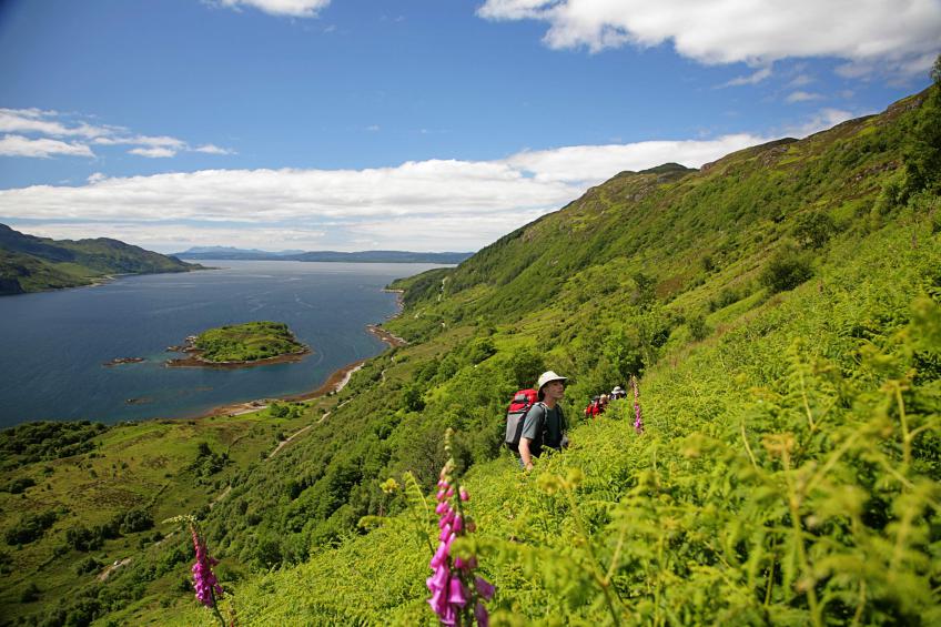 20060627-131438.jpg - Toiling up bracken slopes