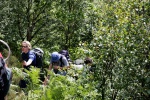 Bashing up through birch scrub