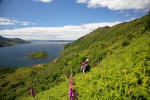 Toiling up bracken slopes