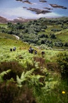 More ascent