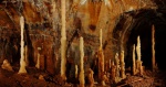 The Mini Columns