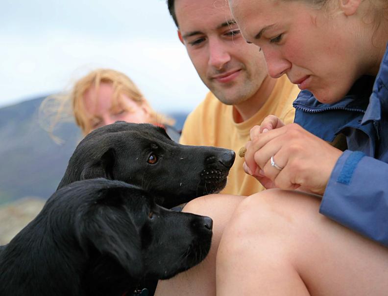 20060805-133900.jpg - Dogs' best friend...