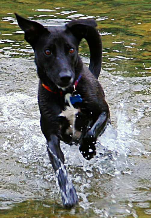 20060805-181216c.jpg - Digga splashing