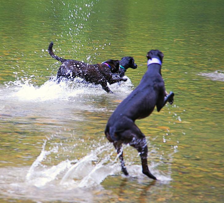 20060806-115246b.jpg - Sunday brings more of the same fun