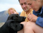 Dogs' best friend...