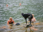 Solo gets as close to the action whilst staying dry