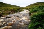 River near the coast