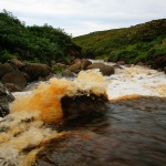 The same water, downstream