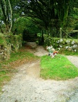 Jay's Grave