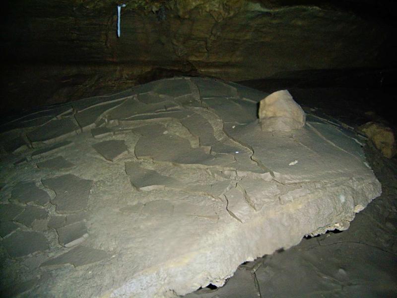 20060930-132034.jpg - Well-preserved mud