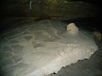 Well-preserved mud