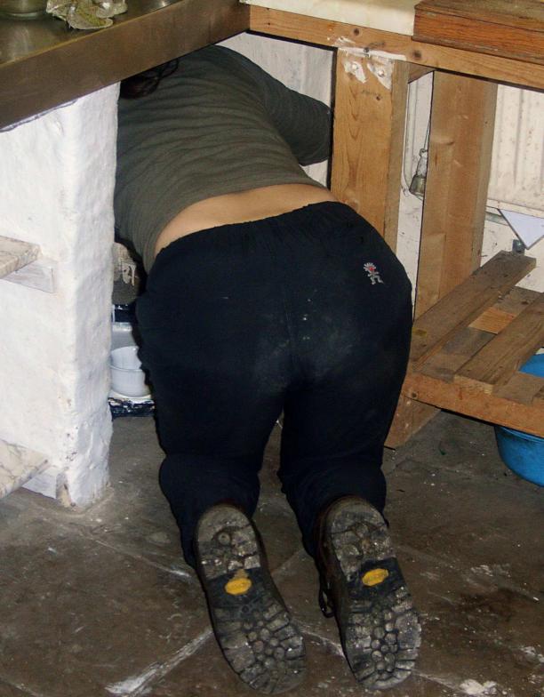 20061007-162510.jpg - Arse