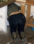 Arse