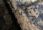 More formations