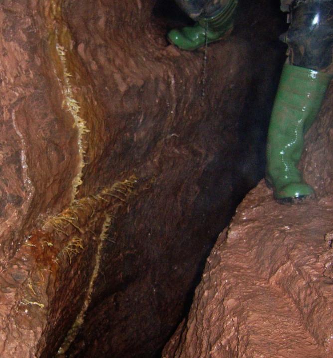 20061022-144004.jpg - Helictites above Swamp Creek