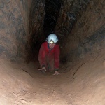 Rowena crawling