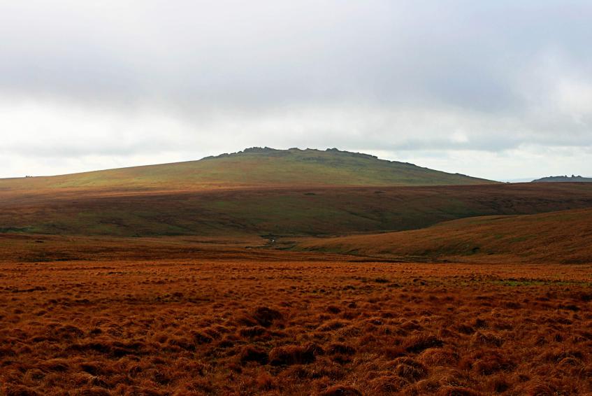 20061112-110648.jpg - Beardown Tors