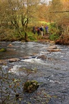 Contemplating the stepping stones across the West Dart