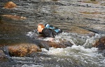 ...and that's a bad fall!