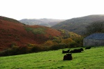 Rural idyll