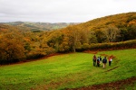 Autumn trees in the Dart valley