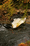 Rapids