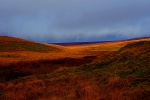 Cowsic River valley