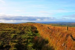 White Tor