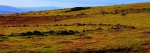 Prehistoric hut circle