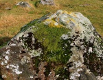 Mossy rock