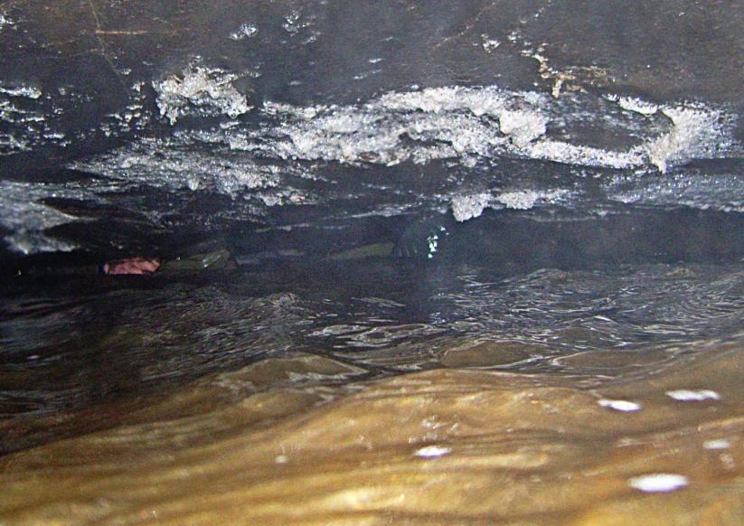 20061119-125324.jpg - Chris in the duck