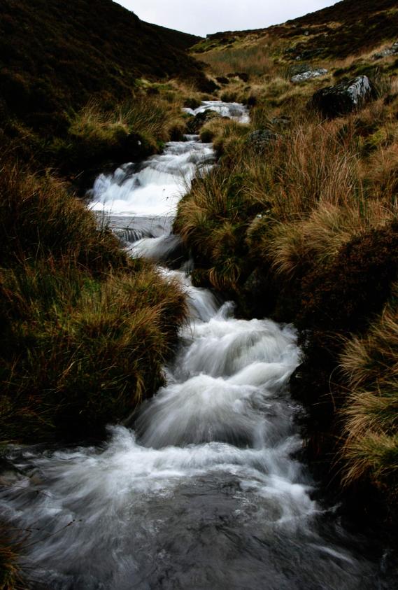 20061125-131656.jpg - Dash Beck