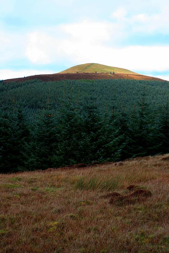 20061126-112304.jpg - Looking back to Lord's Seat