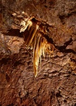 The big formation in the roof