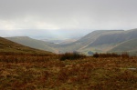 A View
