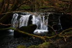 A waterfall