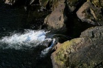 The river