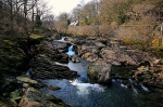 The river at Capel, again